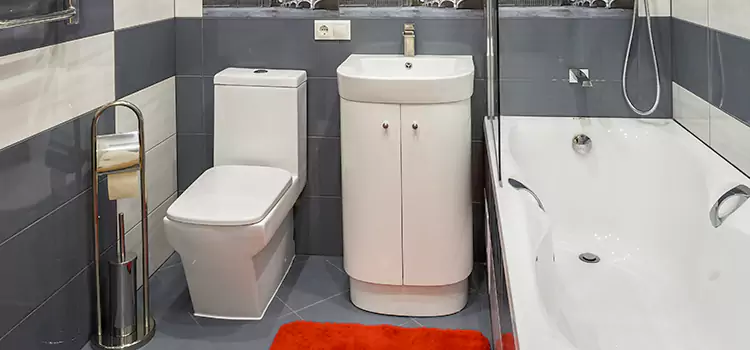 Hansgrohe Shaving Mirror Lowell